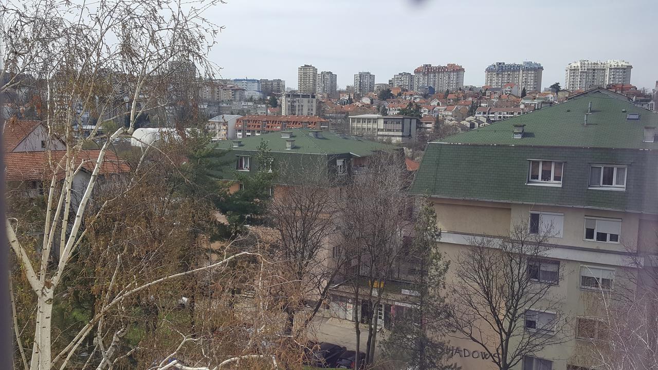 Apartament Pavlovic Apartman Belgrad Zewnętrze zdjęcie