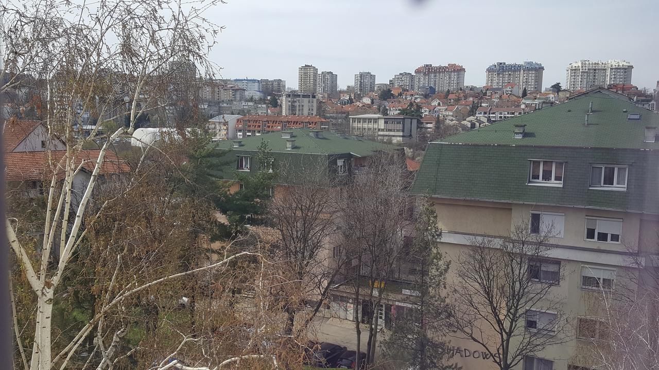 Pavlovic Apartman Belgrad Zewnętrze zdjęcie